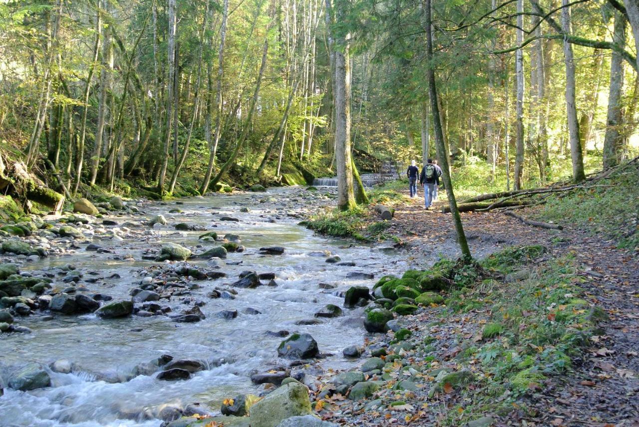 Ferienhaus Wetzel Weiler-Simmerberg Dış mekan fotoğraf